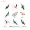 Flaming, papuga, turako, akwarela*flamingo, parrot, turaco, watercolor